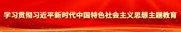 操我吧黄色网站学习贯彻习近平新时代中国特色社会主义思想主题教育